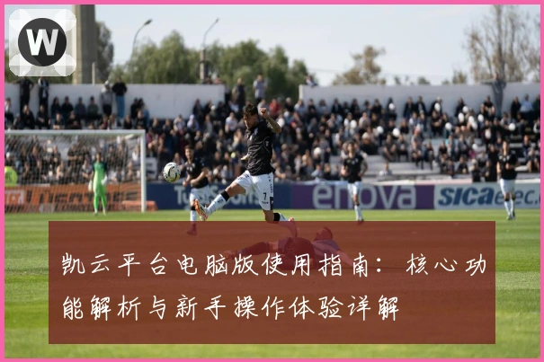 凯云平台电脑版使用指南：核心功能解析与新手操作体验详解