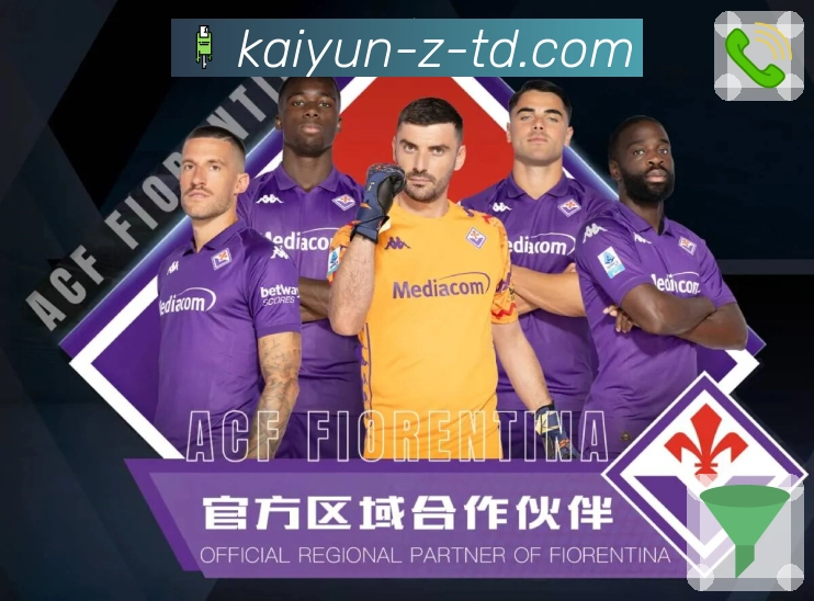 数据展示优化认证